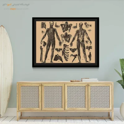 تابلو آناتومی - اسپو دکور