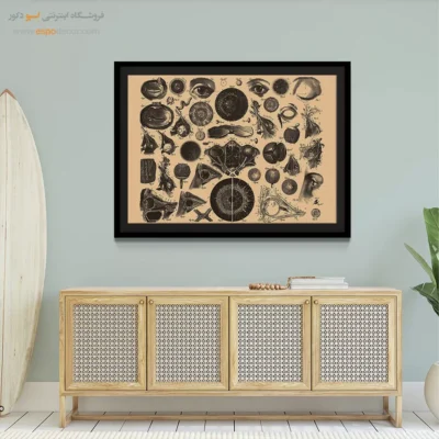 تابلو آناتومی - اسپو دکور