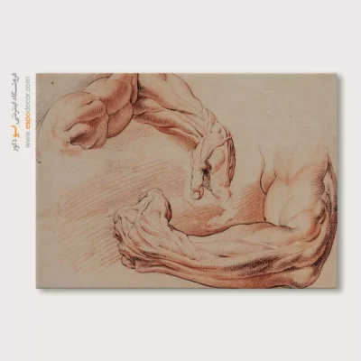 تابلو آناتومی - اسپو دکور