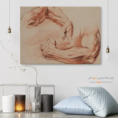 تابلو آناتومی - اسپو دکور