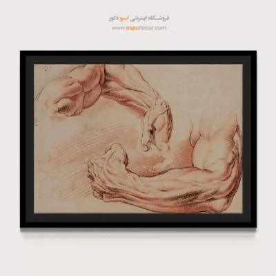 تابلو آناتومی - اسپو دکور