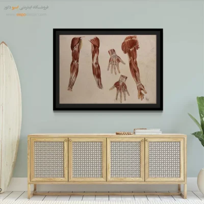 تابلو آناتومی - اسپو دکور