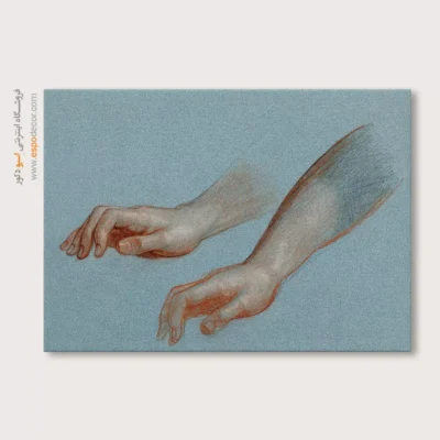 تابلو آناتومی - اسپو دکور