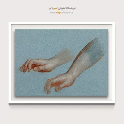 تابلو آناتومی - اسپو دکور