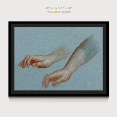 تابلو آناتومی - اسپو دکور