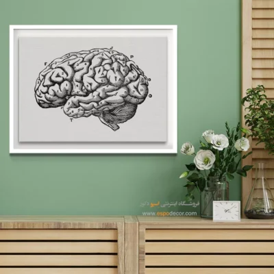 تابلو آناتومی - اسپو دکور