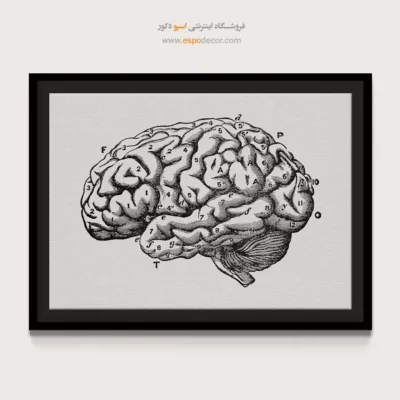 تابلو آناتومی - اسپو دکور