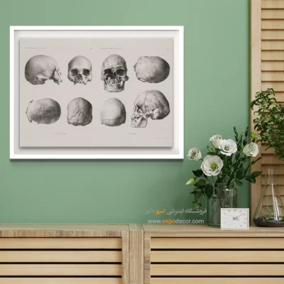 تابلو آناتومی - اسپو دکور