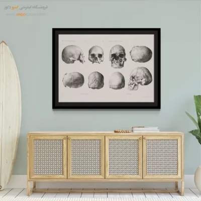 تابلو آناتومی - اسپو دکور