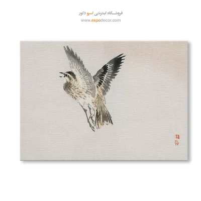 تابلو نقاشی های بایرئی گاکان - اسپو دکور