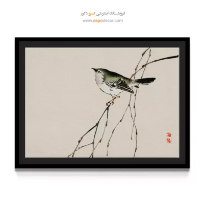 تابلو نقاشی های بایرئی گاکان - اسپو دکور