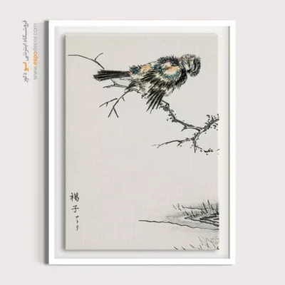 تابلو منوگرافی پرندگان - اسپو دکور