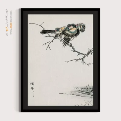 تابلو منوگرافی پرندگان - اسپو دکور