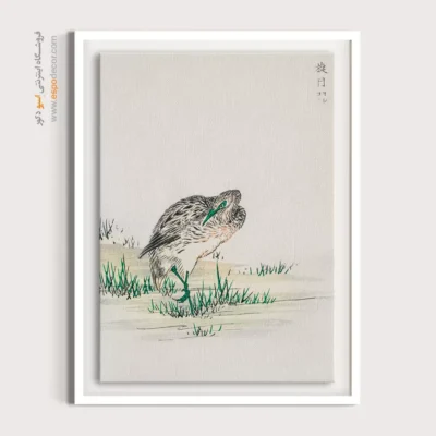 تابلو منوگرافی پرندگان - اسپو دکور