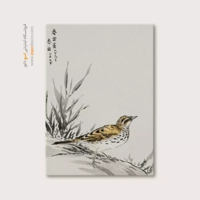 تابلو منوگرافی پرندگان - اسپو دکور