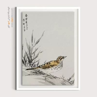 تابلو منوگرافی پرندگان - اسپو دکور