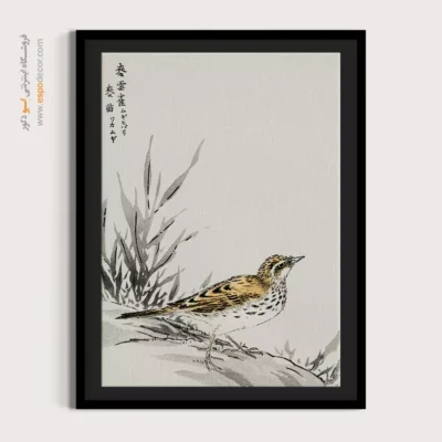 تابلو منوگرافی پرندگان - اسپو دکور