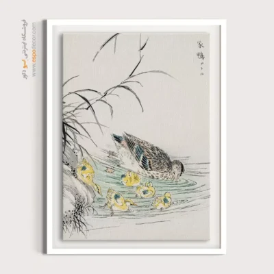 تابلو منوگرافی پرندگان - اسپو دکور