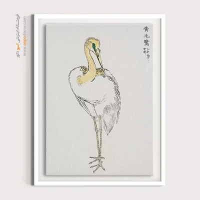 تابلو منوگرافی پرندگان - اسپو دکور