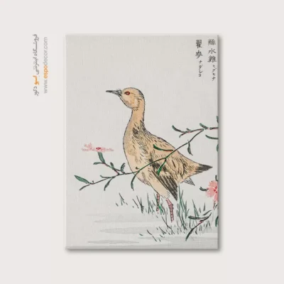 تابلو منوگرافی پرندگان - اسپو دکور