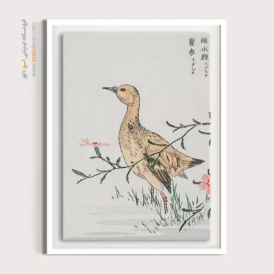 تابلو منوگرافی پرندگان - اسپو دکور