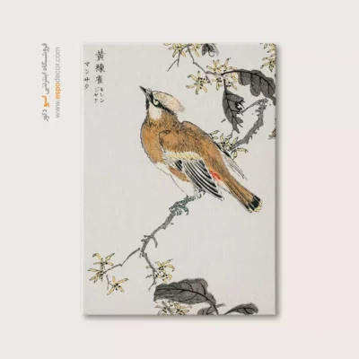 تابلو منوگرافی پرندگان - اسپو دکور