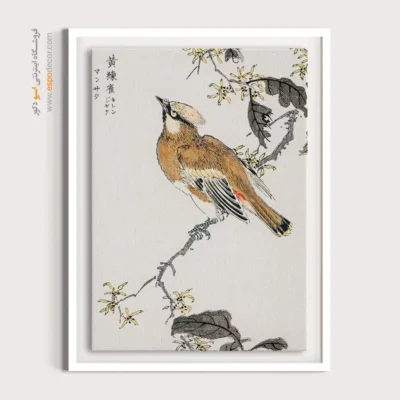 تابلو منوگرافی پرندگان - اسپو دکور