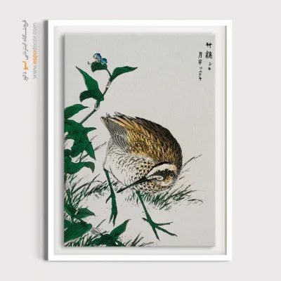 تابلو منوگرافی پرندگان - اسپو دکور
