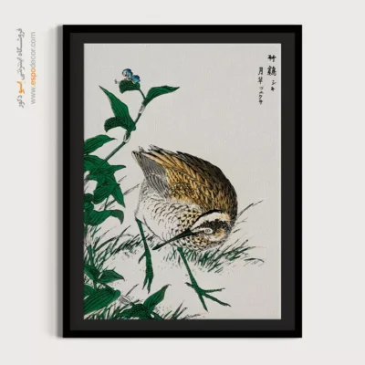 تابلو منوگرافی پرندگان - اسپو دکور