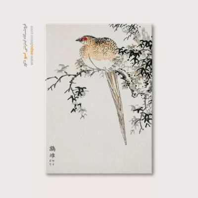تابلو منوگرافی پرندگان - اسپو دکور