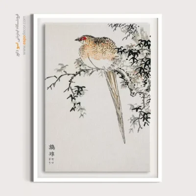 تابلو منوگرافی پرندگان - اسپو دکور