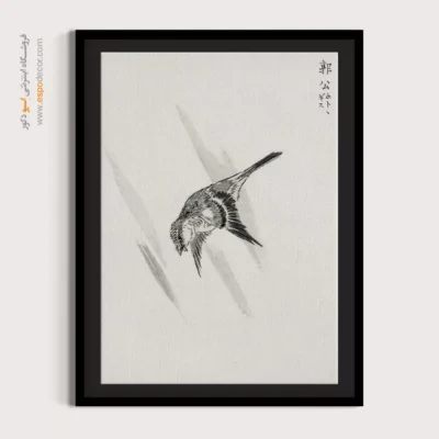 تابلو منوگرافی پرندگان - اسپو دکور