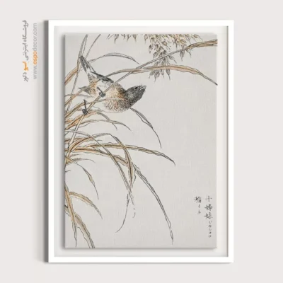 تابلو منوگرافی پرندگان - اسپو دکور