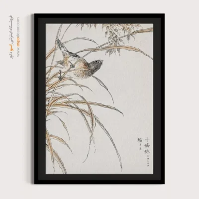 تابلو منوگرافی پرندگان - اسپو دکور