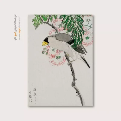 تابلو منوگرافی پرندگان - اسپو دکور