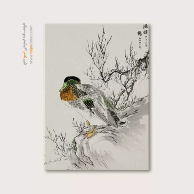 تابلو منوگرافی پرندگان - اسپو دکور