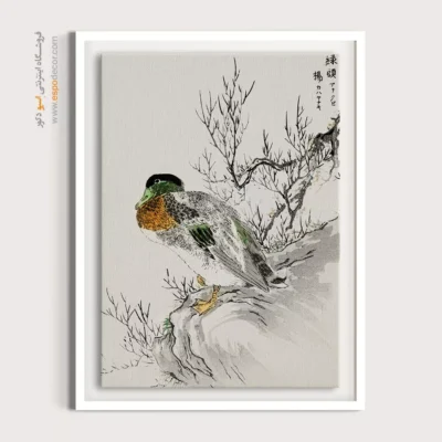 تابلو منوگرافی پرندگان - اسپو دکور