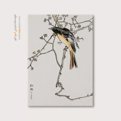 تابلو منوگرافی پرندگان - اسپو دکور