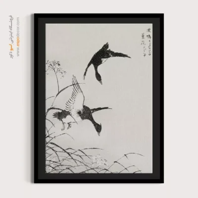 تابلو منوگرافی پرندگان - اسپو دکور