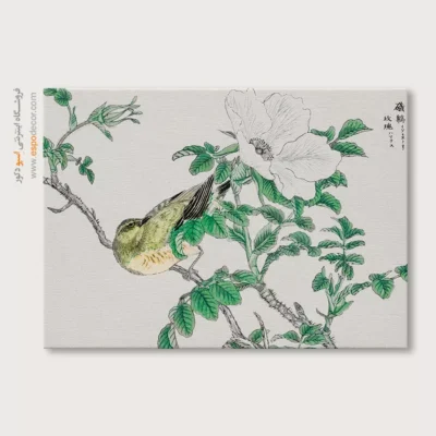 تابلو منوگرافی پرندگان - اسپو دکور