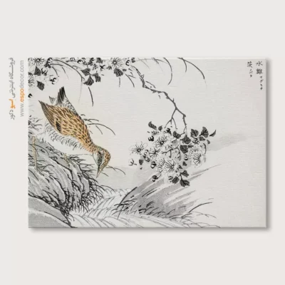 تابلو منوگرافی پرندگان - اسپو دکور