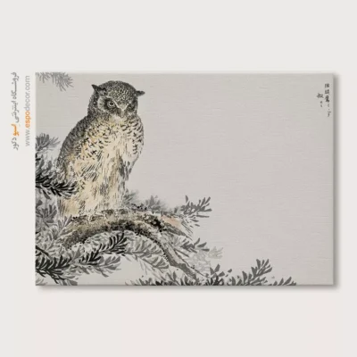 تابلو منوگرافی پرندگان - اسپو دکور