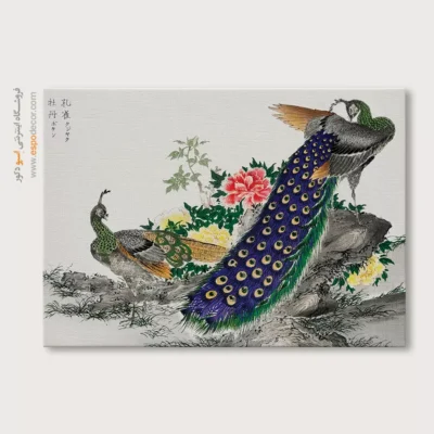 تابلو منوگرافی پرندگان - اسپو دکور