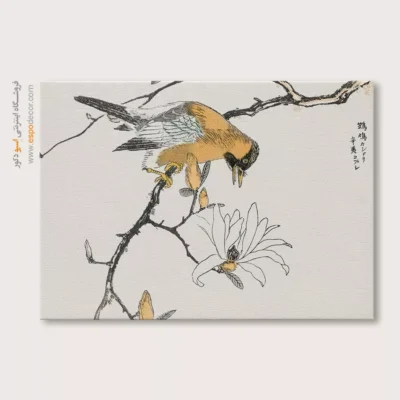 تابلو منوگرافی پرندگان - اسپو دکور