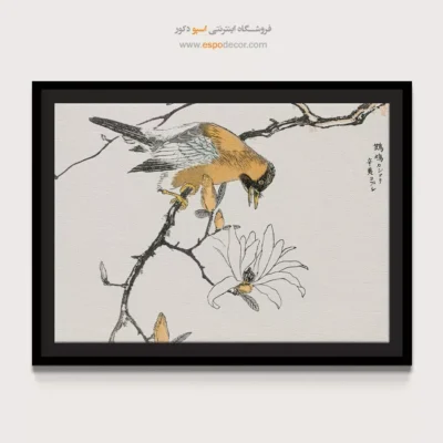 تابلو منوگرافی پرندگان - اسپو دکور