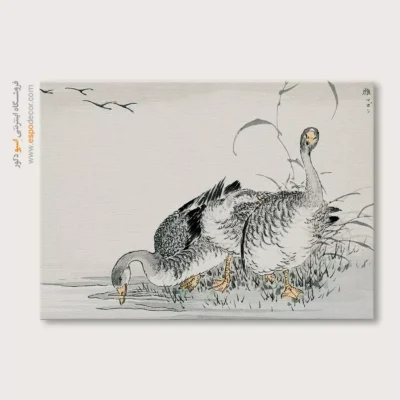تابلو منوگرافی پرندگان - اسپو دکور