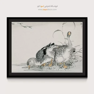 تابلو منوگرافی پرندگان - اسپو دکور