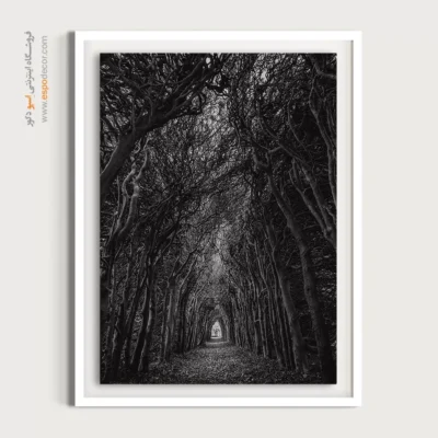 تابلو دیواری با تصاویر زیبا - راه – تابلو سیاه و سفید - اسپو دکور