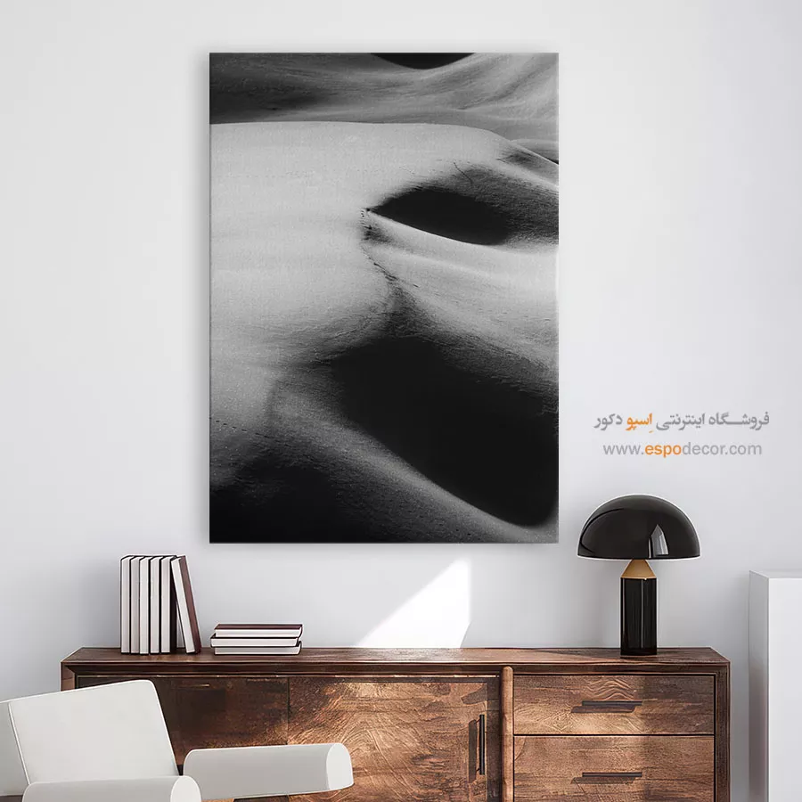 تابلو سیاه سفید طبیعت - نور و سایه – تابلو سیاه و سفید - اسپو دکور