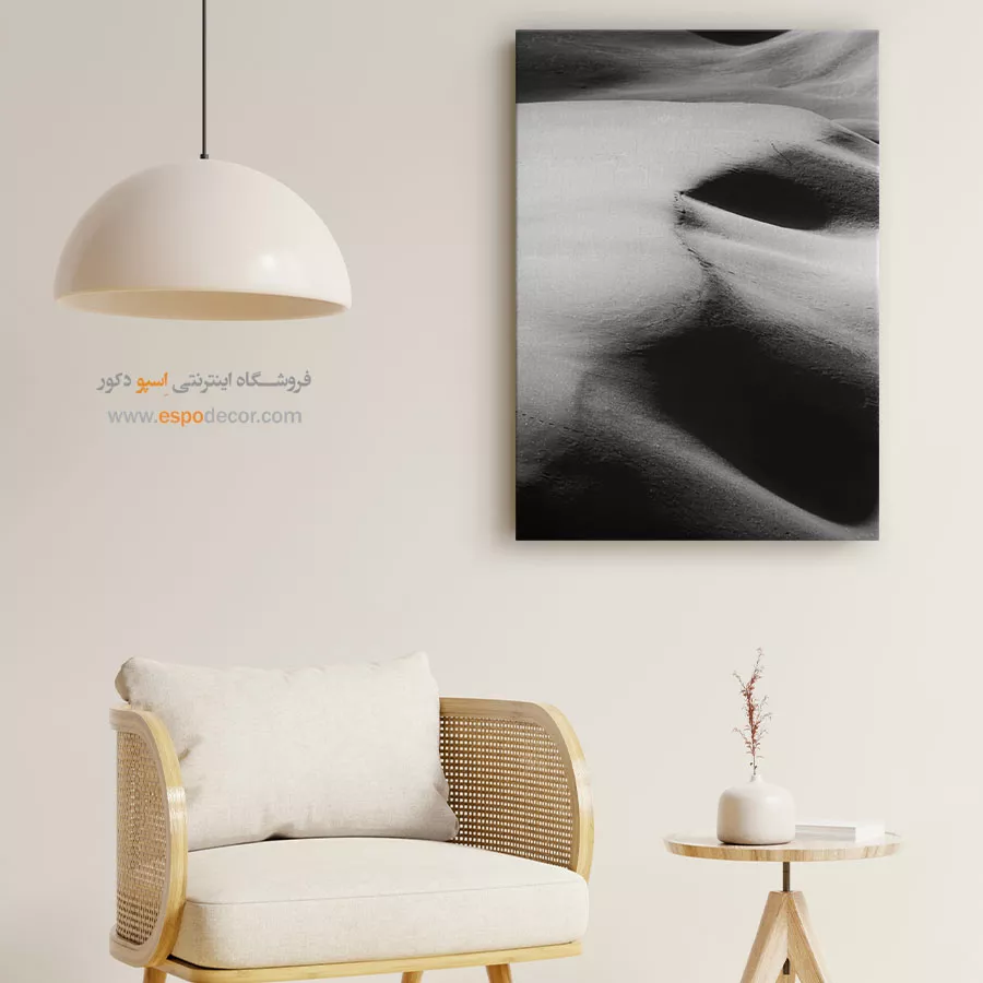 تابلو سیاه سفید طبیعت - نور و سایه – تابلو سیاه و سفید - اسپو دکور